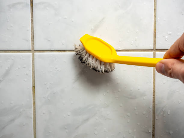 Best Same-Day Mold Removal  in Wise, VA
