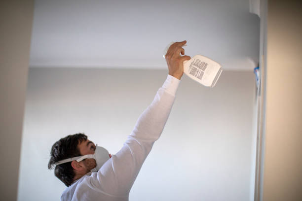 Best Local Mold Removal Service  in Wise, VA