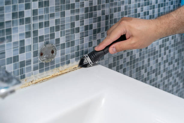 Best Mold Testing  in Wise, VA