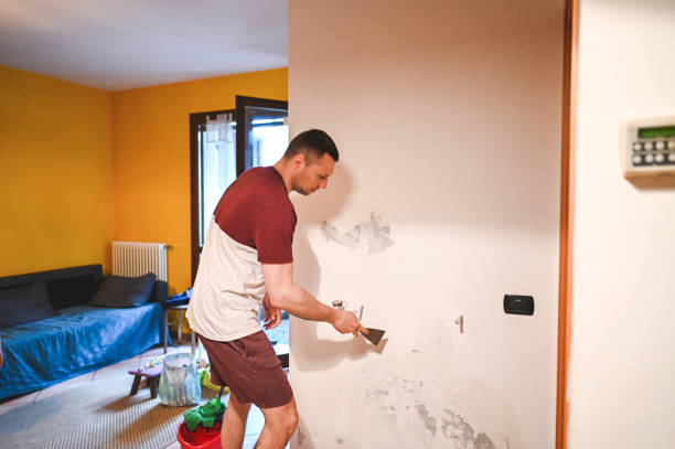 Best Attic Mold Removal  in Wise, VA